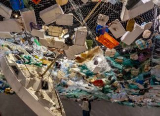 What-You-Should-Know-Before-Junk-Removal-on-allstory