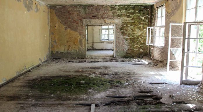 5-Reasons-Why-It’s-Time-to-Clear-Out-Your-Basement-on-allstory