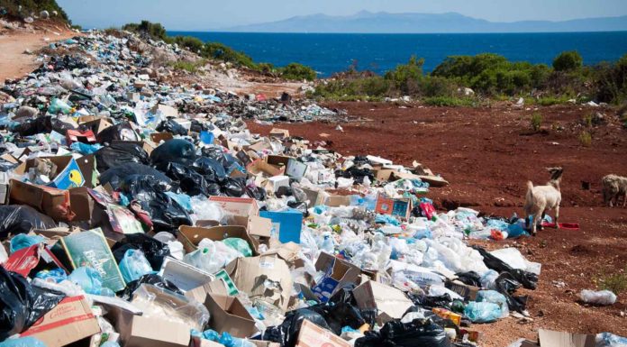 Advantages-of-Using-a-Commercial-Trash-Removal-Service-on-allstory-site