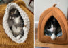 best cat beds