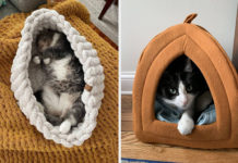 best cat beds