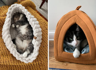 best cat beds