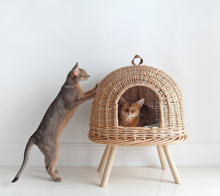 best cat beds