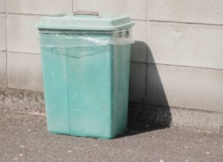 Navigating-Dumpster-Choices-For-Effective-Residential-Waste-Disposal-on-allstory