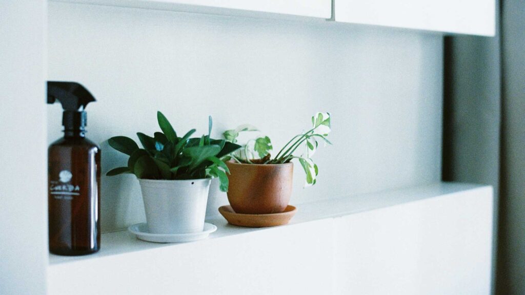 Why Should You Invest In Premium Home Fragrance Products On AllStory